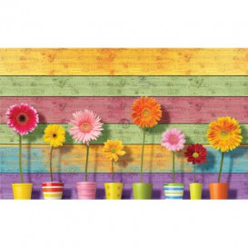 Fototapeta na stenu - FT5493 - Farebná drevená stena a gerbery