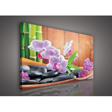 Obraz na plátne obdĺžnik - OB0094 - Ružové kvety a kamienky