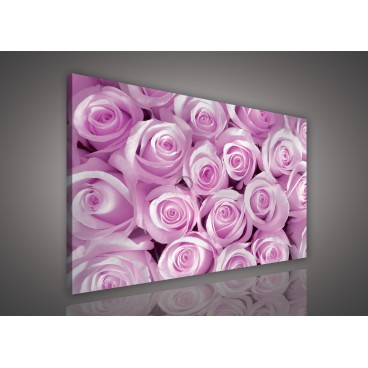 Obraz na plátne obdĺžnik - OB0105 - Ružové ruže