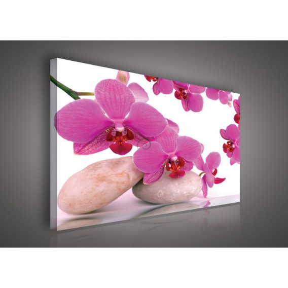 Obraz na plátne obdĺžnik - OB0110 - Ružový kvet