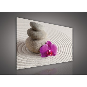 Obraz na plátne obdĺžnik - OB0111 - Ružový kvet a kamienky