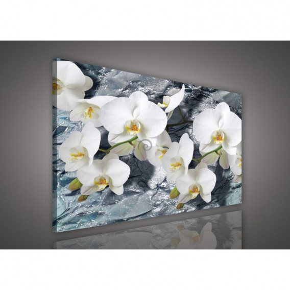 Obraz na plátne obdĺžnik - OB0515 - Orchidea