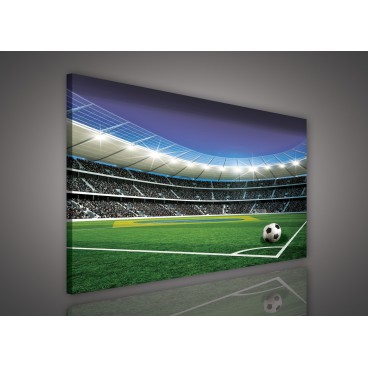 Obraz na plátne obdĺžnik - OB0527 - Futbalový štadión