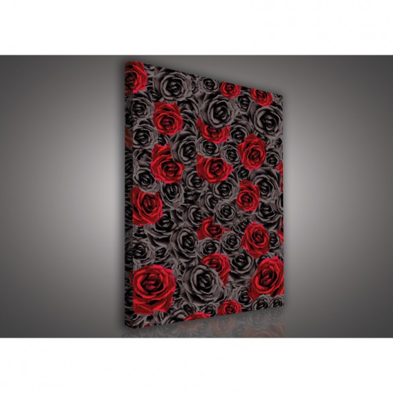 Obraz na plátne obdĺžnik - OB0585 - Čierno červené ruže