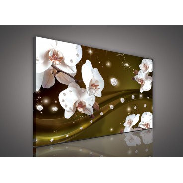 Obraz na plátne obdĺžnik - OB0599 - Orchidea