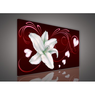 Obraz na plátne obdĺžnik - OB0120 - Biely kvet