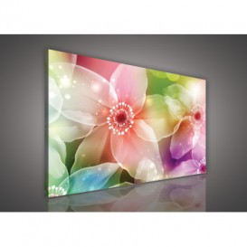 Obraz na plátne obdĺžnik - OB0127 - Farebné kvety