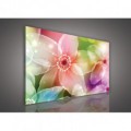 Obraz na plátne obdĺžnik - OB0127 - Farebné kvety