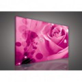 Obraz na plátne obdĺžnik - OB0128 - Ružová ruža