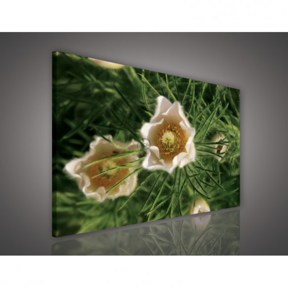 Obraz na plátne obdĺžnik - OB0671 - Biele kvety