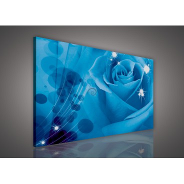 Obraz na plátne obdĺžnik - OB0131 - Modrá ruža