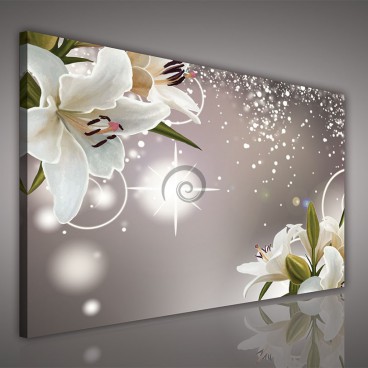 Obraz na plátne obdĺžnik - OB0687 - Biele kvety