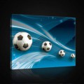 Obraz na plátne obdĺžnik - OB0697 - Futbalová lopta