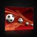 Obraz na plátne obdĺžnik - OB0698 - Futbalová lopta