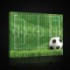 Obraz na plátne obdĺžnik - OB0699 - Futbalová lopta