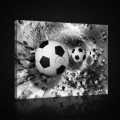 Obraz na plátne obdĺžnik - OB0701 - Futbalová lopta
