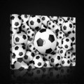 Obraz na plátne obdĺžnik - OB0702 - Futbalová lopta