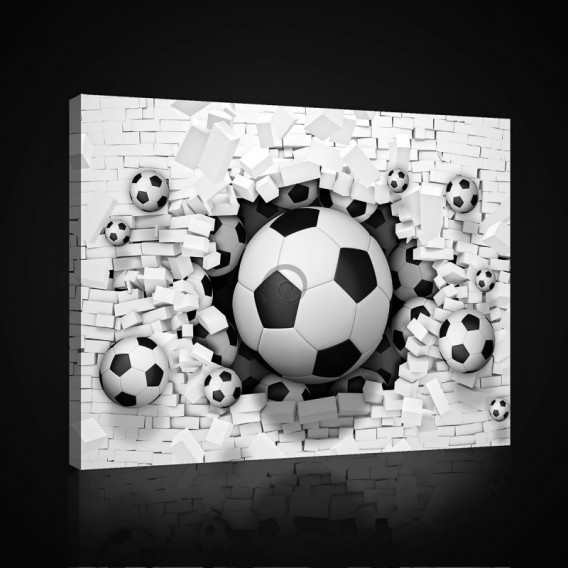 Obraz na plátne obdĺžnik - OB0703 - Futbalová lopta