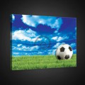 Obraz na plátne obdĺžnik - OB0704 - Futbalová lopta