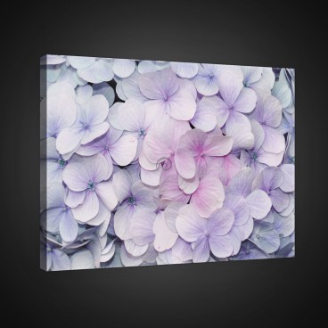 Obraz na plátne obdĺžnik - OB0706 - Ružové kvety