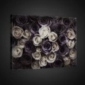 Obraz na plátne obdĺžnik - OB0707 - Čiernobiele ruže