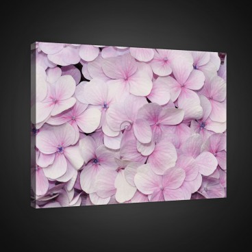 Obraz na plátne obdĺžnik - OB0708 - Ružové kvety