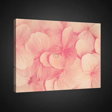 Obraz na plátne obdĺžnik - OB0709 - Ružové kvety