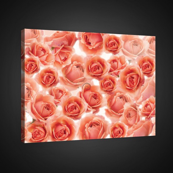 Obraz na plátne obdĺžnik - OB0751 - Ruže