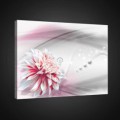 Obraz na plátne obdĺžnik - OB0762 - Bielo ružový kvet