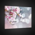 Obraz na plátne obdĺžnik - OB0776 - Ružové kvety