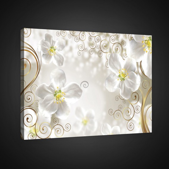 Obraz na plátne obdĺžnik - OB0797 - Biele kvety