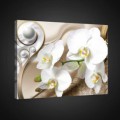 Obraz na plátne obdĺžnik - OB0808 - Biele kvety
