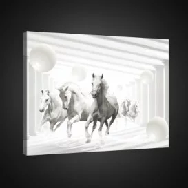 Obraz na plátne obdĺžnik - OB0835 - Kone