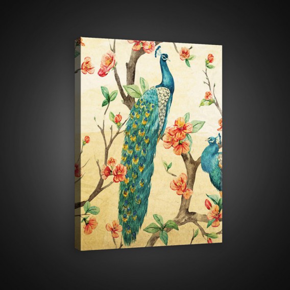 Obraz na plátne obdĺžnik - OB0948 - Páv
