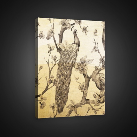 Obraz na plátne obdĺžnik - OB0949 - Páv