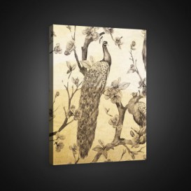 Obraz na plátne obdĺžnik - OB0949 - Páv