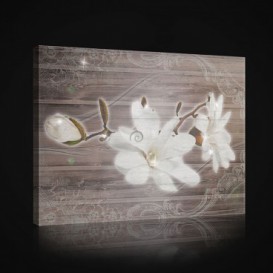 Obraz na plátne obdĺžnik - OB0980 - Biely kvet