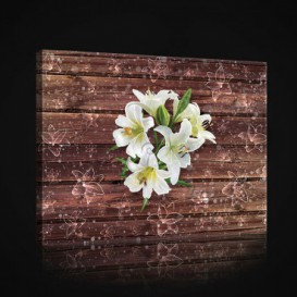 Obraz na plátne obdĺžnik - OB0981 - Biely kvet