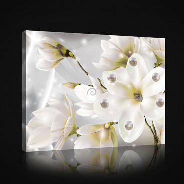 Obraz na plátne obdĺžnik - OB0991 - Biele kvety