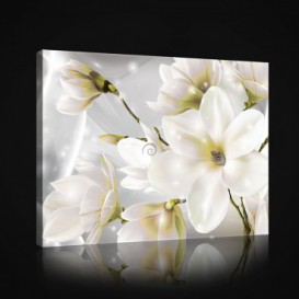 Obraz na plátne obdĺžnik - OB0992 - Biele kvety
