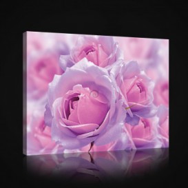 Obraz na plátne obdĺžnik - OB1024 - Ruže