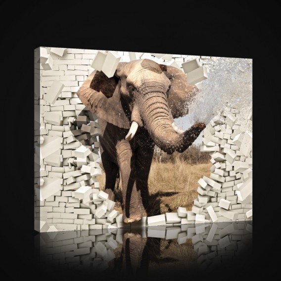 Obraz na plátne obdĺžnik - OB1030 - Slon