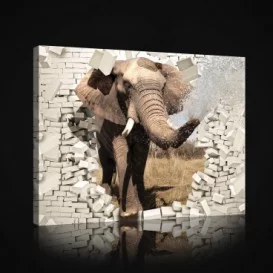 Obraz na plátne obdĺžnik - OB1030 - Slon
