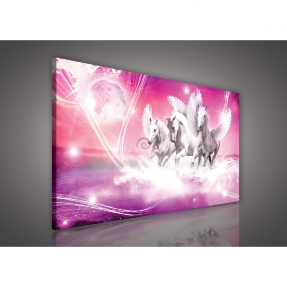 Obraz na plátne obdĺžnik - OB0146 - Pegas