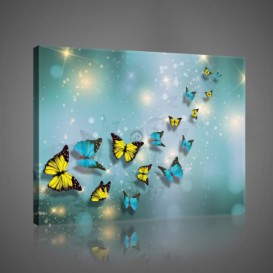 Obraz na plátne obdĺžnik - OB1042 - Motýle