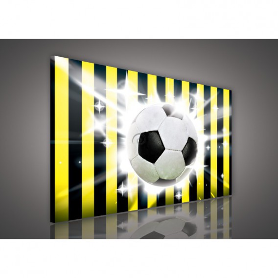 Obraz na plátne obdĺžnik - OB0207 - Futbalová lopta