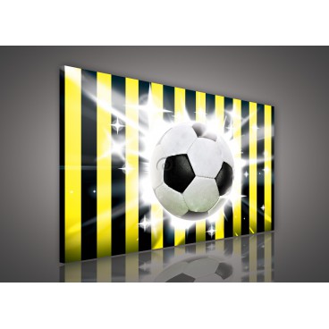 Obraz na plátne obdĺžnik - OB0207 - Futbalová lopta