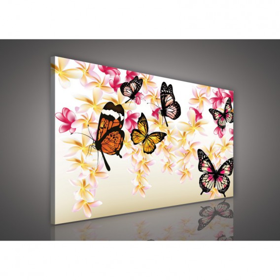 Obraz na plátne obdĺžnik - OB1064 - Motýle