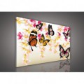 Obraz na plátne obdĺžnik - OB1064 - Motýle