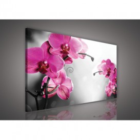 Obraz na plátne obdĺžnik - OB1076 - Ružové kvety